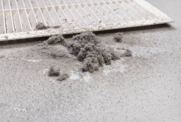 Best HVAC System Cleaning  in Cocoa West, FL